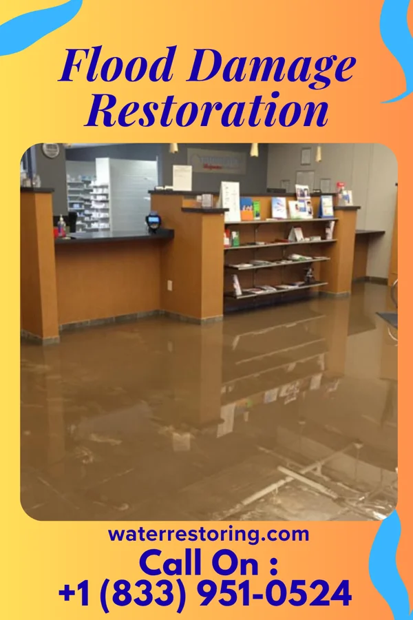 Flood Damage Restoration in Starr, SC