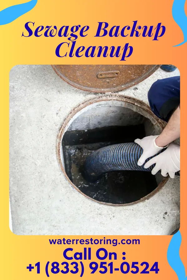 Sewage Backup Cleanup in Starr, SC